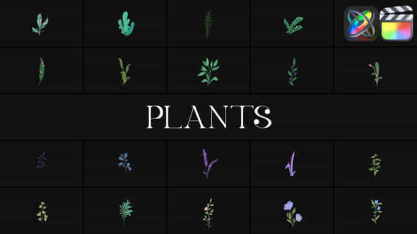 Plants For Fcpx - VideoHive 51666183
