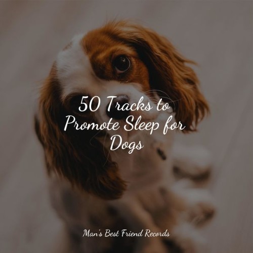 Music for Dog's Ears - 50 Tracks to Promote Sleep for Dogs - 2022
