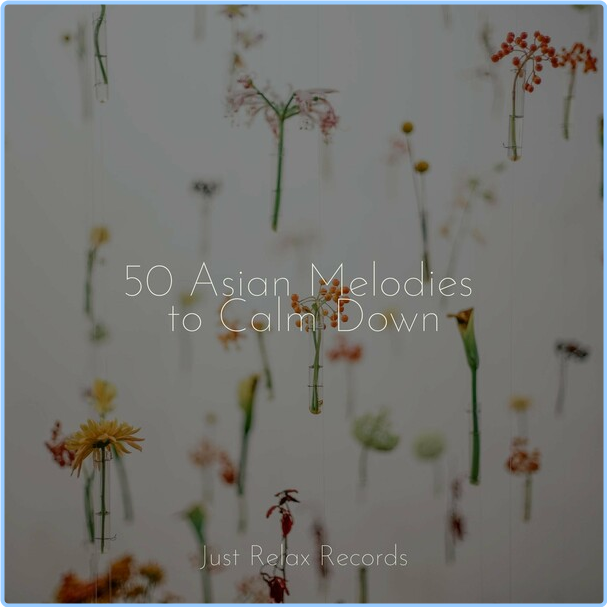 Ambient 50 Asian Melodies To Calm Down (2024) [FLAC] 16BITS 44 1KHZ HxtBh7rF_o