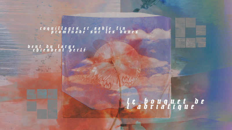 LE BOUQUET DE L'ADRIATIQUE