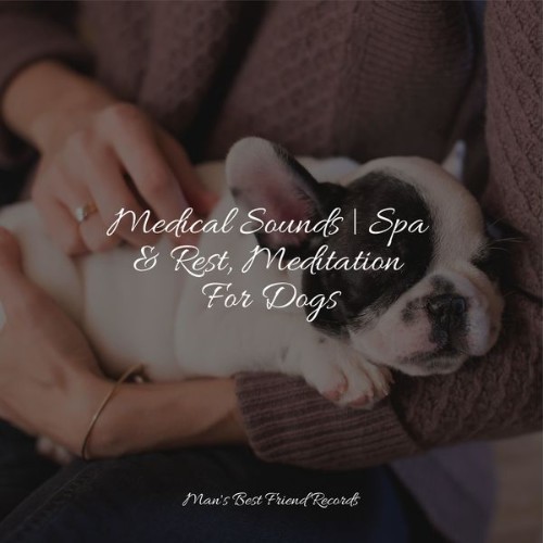 Calming Music for Dogs - Medical Sounds  Spa & Rest, Meditation For Dogs - 2022