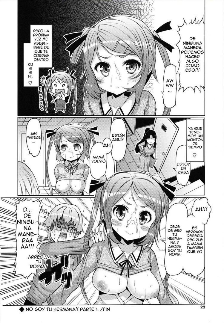Sister Removal Declaration Hentai - 16