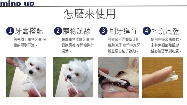 耶夫諾姆