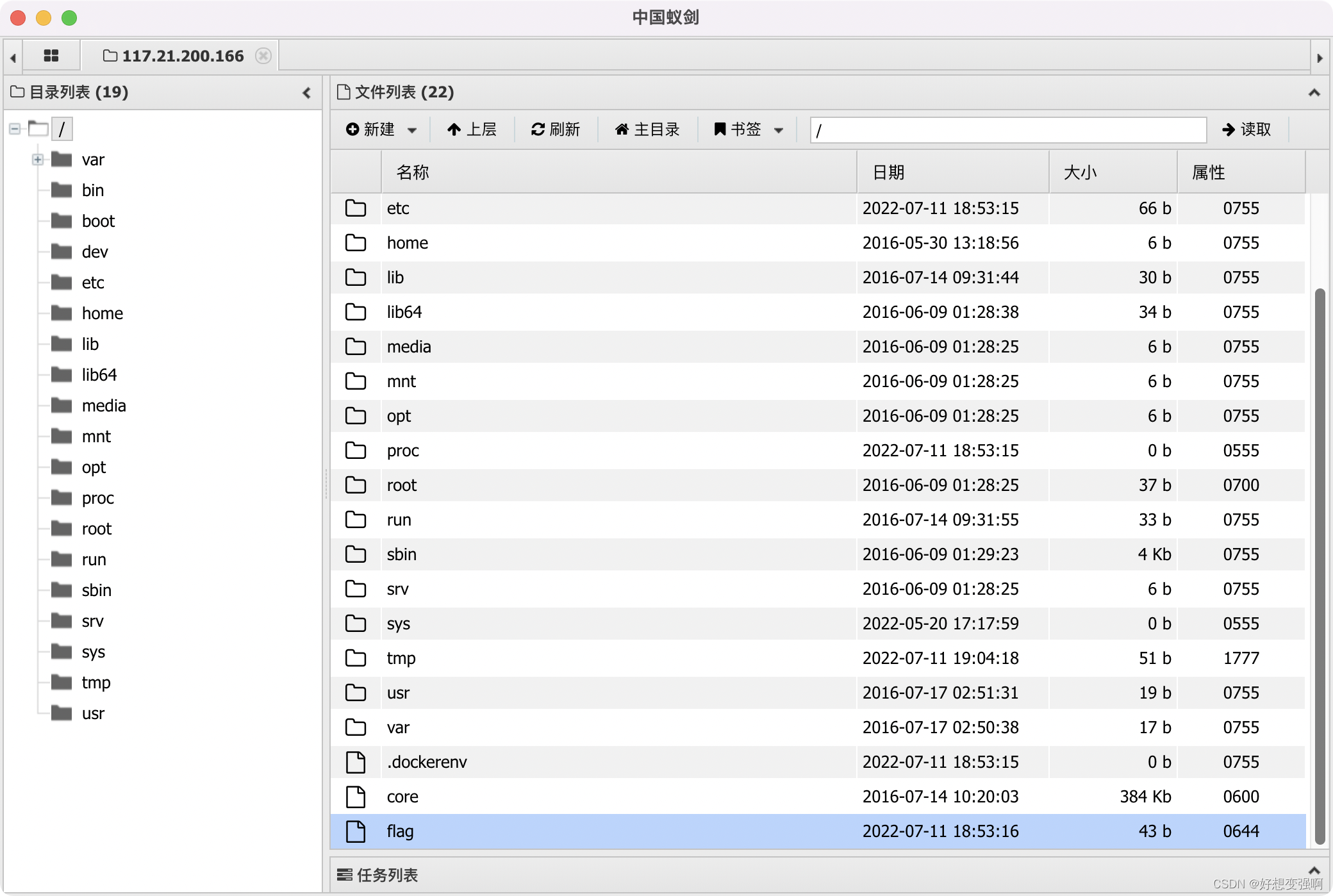 一般flag在根目录下