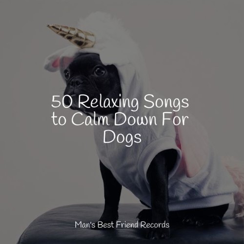 Music for Pets Library - 50 Relaxing Songs to Calm Down For Dogs - 2022