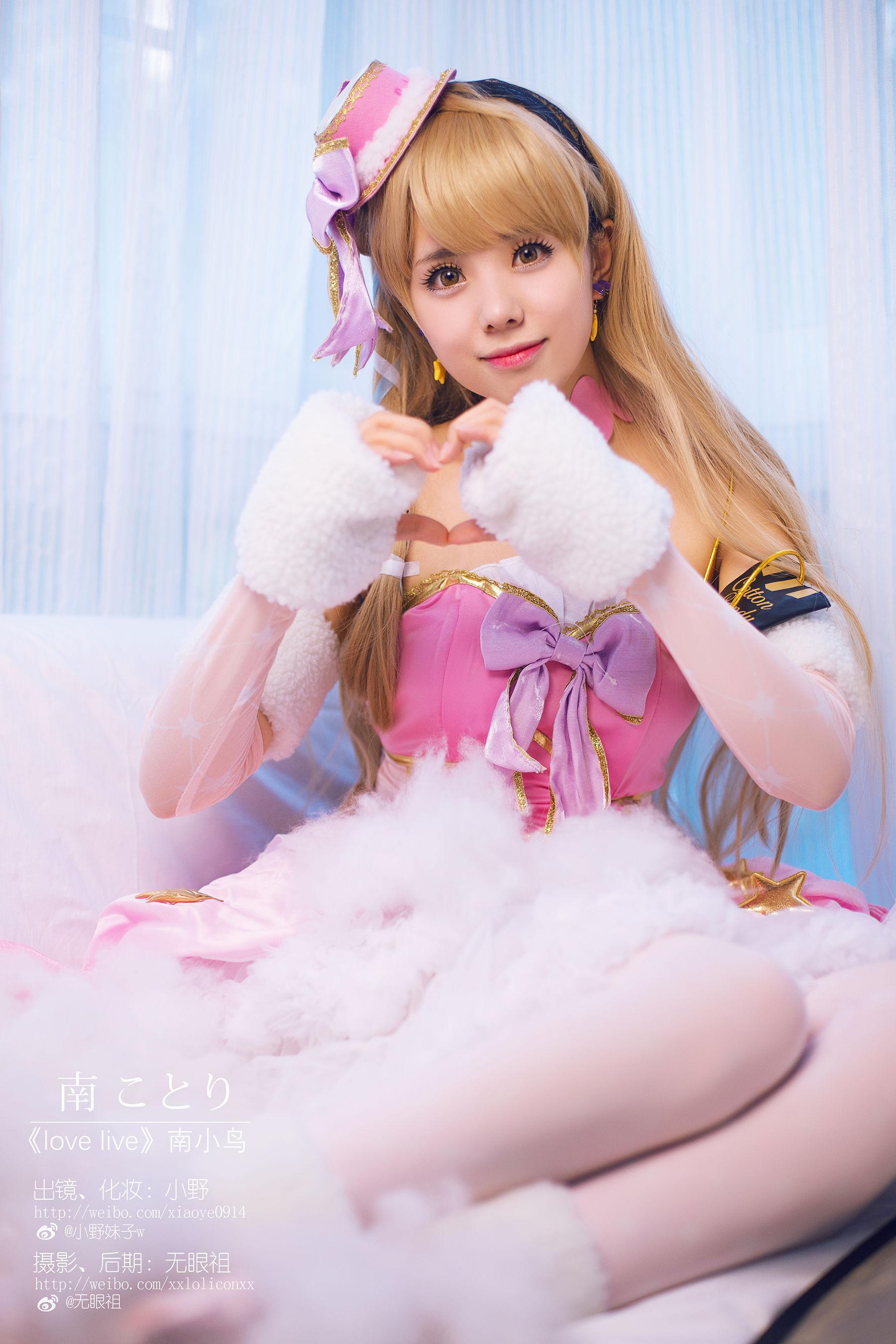 Coser小野妹子w 《Love Live!（南小鸟）》 写真集(7)