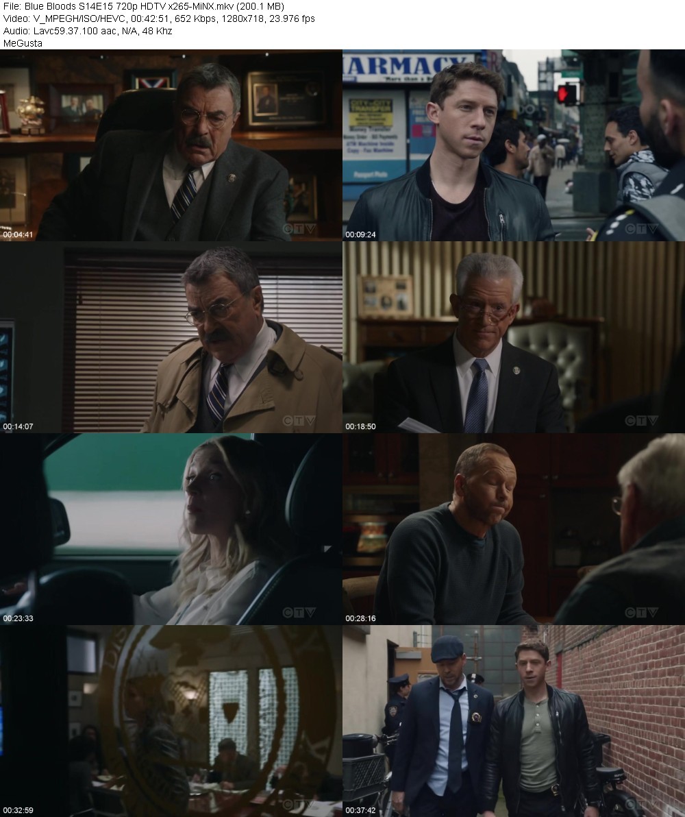 Blue Bloods S14E15 720p HDTV x265-MiNX