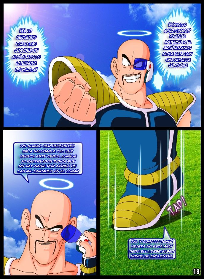 La Venganza de Nappa - 18