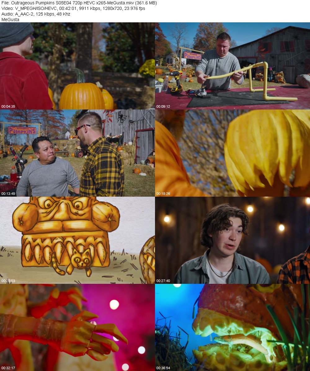 Outrageous Pumpkins S05E04 720p HEVC x265-MeGusta