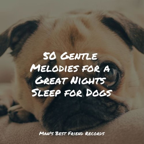 Jazz Music Therapy for Dogs - 50 Gentle Melodies for a Great Nights Sleep for Dogs - 2022