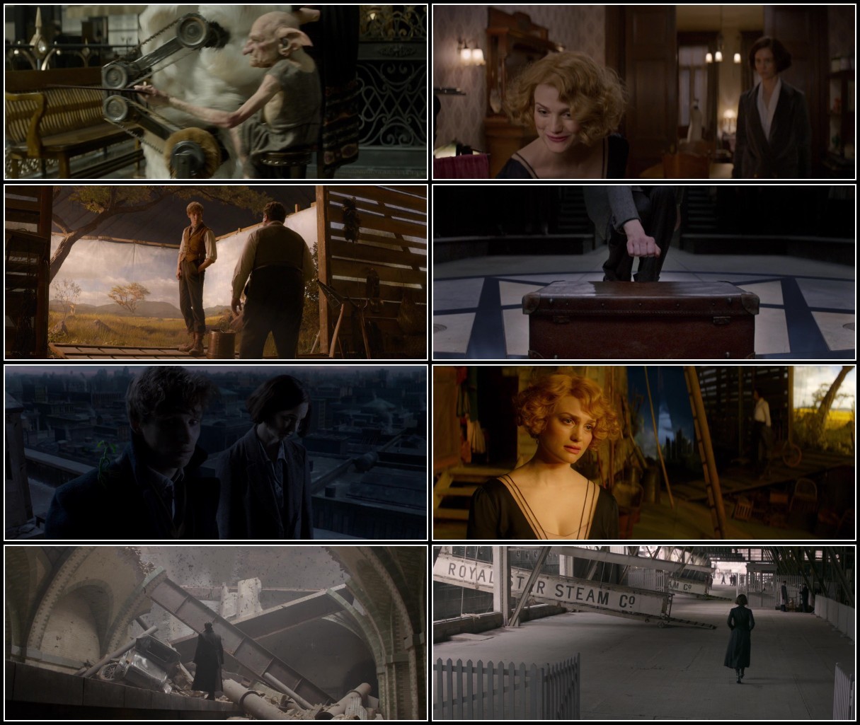 Fantastic Beasts and Where To Find Them (2016) 1080p BluRay H264 AAC-RARBG 4iaw5OWr_o