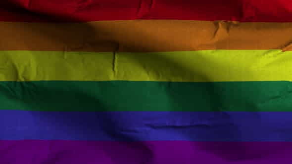 LGBT Flag Textured Waving Background - VideoHive 29972382