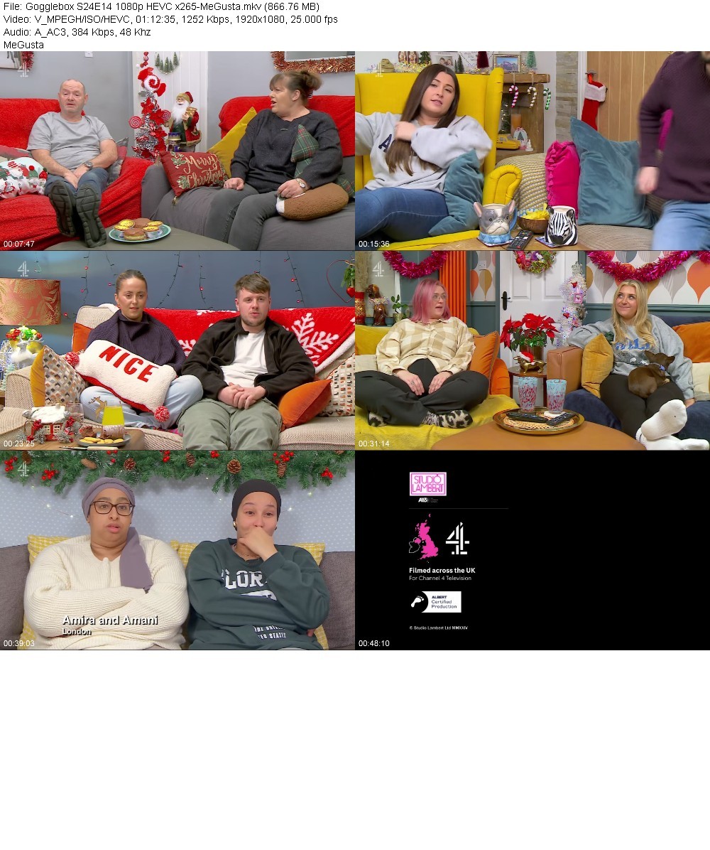 Gogglebox S24E14 1080p HEVC x265-MeGusta