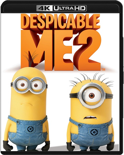 Minionki rozrabiają / Despicable Me 2 (2013) MULTi.REMUX.2160p.UHD.Blu-ray.HDR.HEVC.DTS-X7.1-DENDA / DUBBING i NAPISY PL