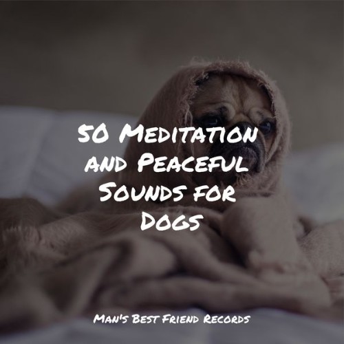 Calm Doggy - 50 Meditation and Peaceful Sounds for Dogs - 2022