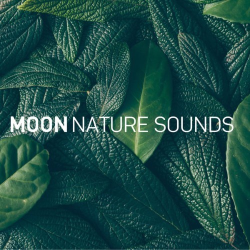 Luna Tunes - 8D Sonidos de la Naturaleza - 2019