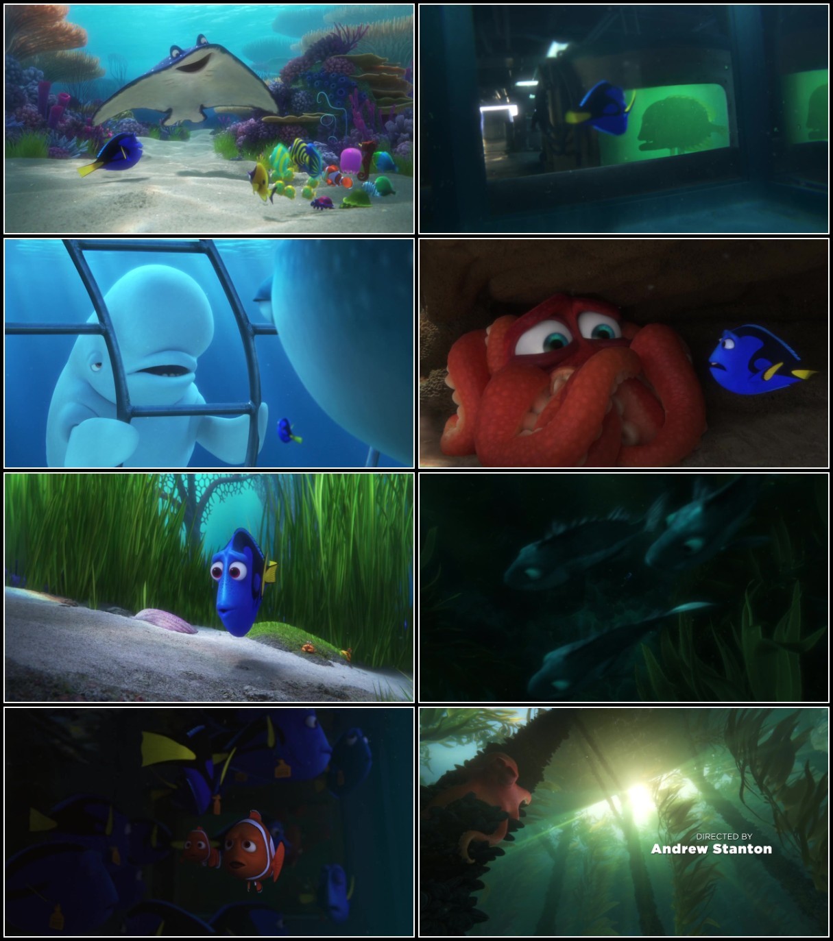 Finding Dory (2016) NORDiC 720p WEBRip x264-STATiXDK D3Oo0mcl_o