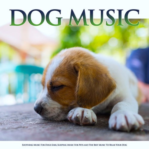 Dog Music - Dog Music Soothing Music For Dogs Ears, Sleeping Music For Pets and The Best Music To...