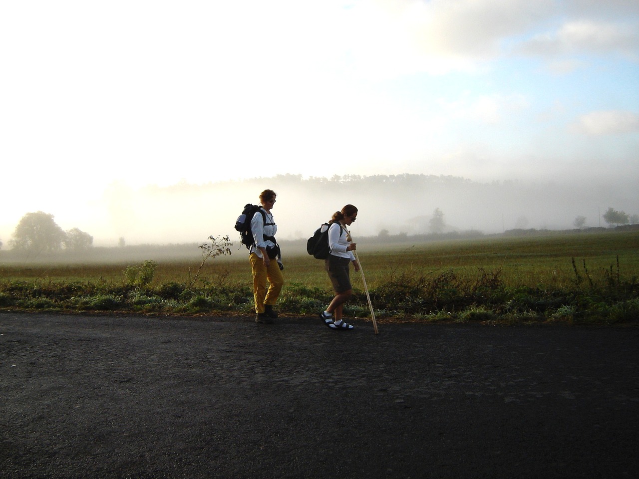 Camino