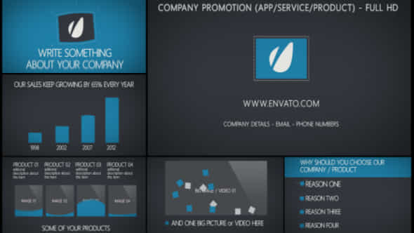 Promote Your Company - VideoHive 3770309