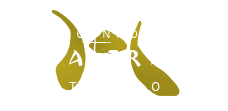 Cannon Amaterasu