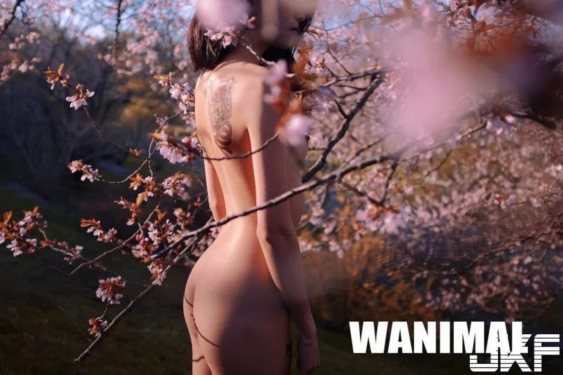 [WANIMAL] 王动 2016 4月VIP艺术人体写真 (42P)(2)