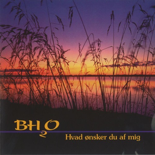 BH2O - Hvad Ønsker Du Af Mig - 1997
