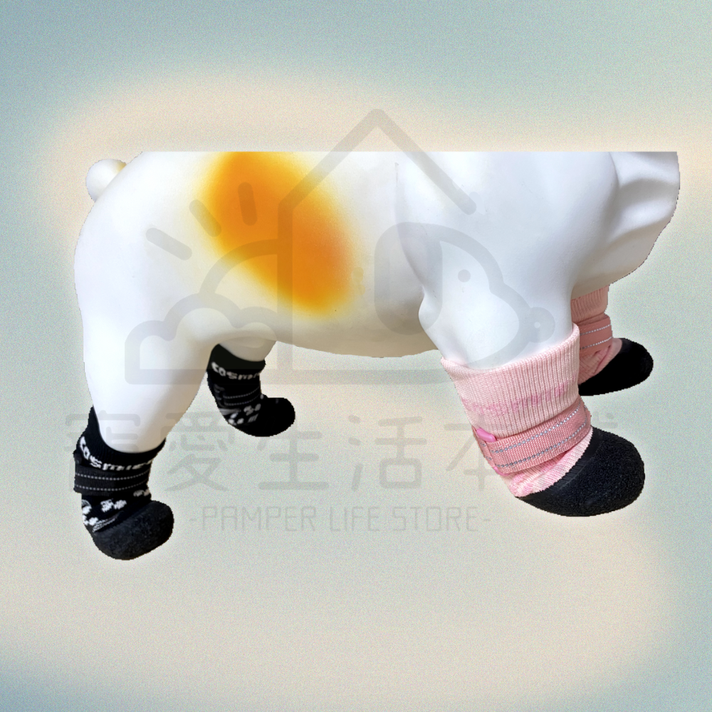 Cftsbd5v o