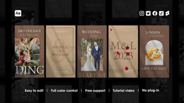 Wedding Instagram Stories - VideoHive 46735639