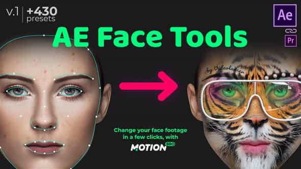 AE Face Tools - VideoHive 24958166