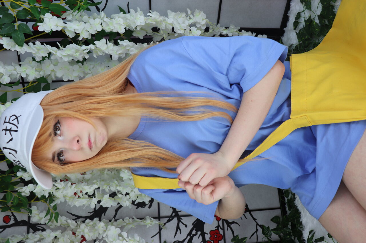 Melondoki - Platelet