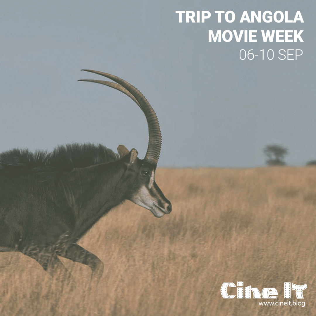 Angola Trip Week Wrap-up