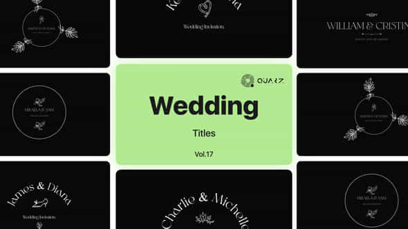 Wedding Titles Vol 17 - VideoHive 48928989