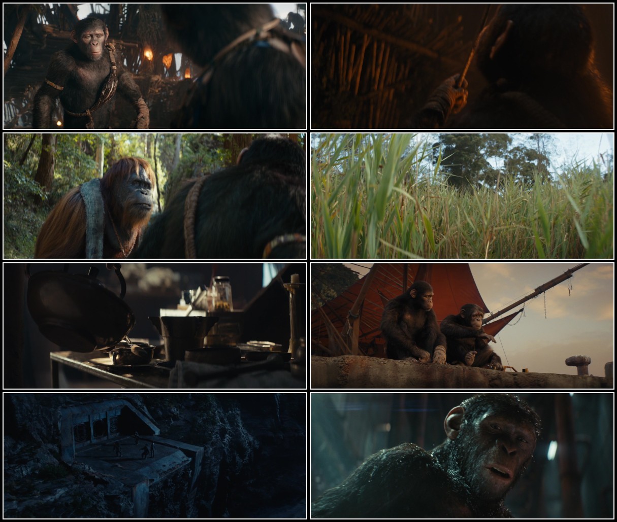 Kingdom Of The Planet Of The Apes (2024) 1080p BluRay x264-KNiVES B6b51R03_o