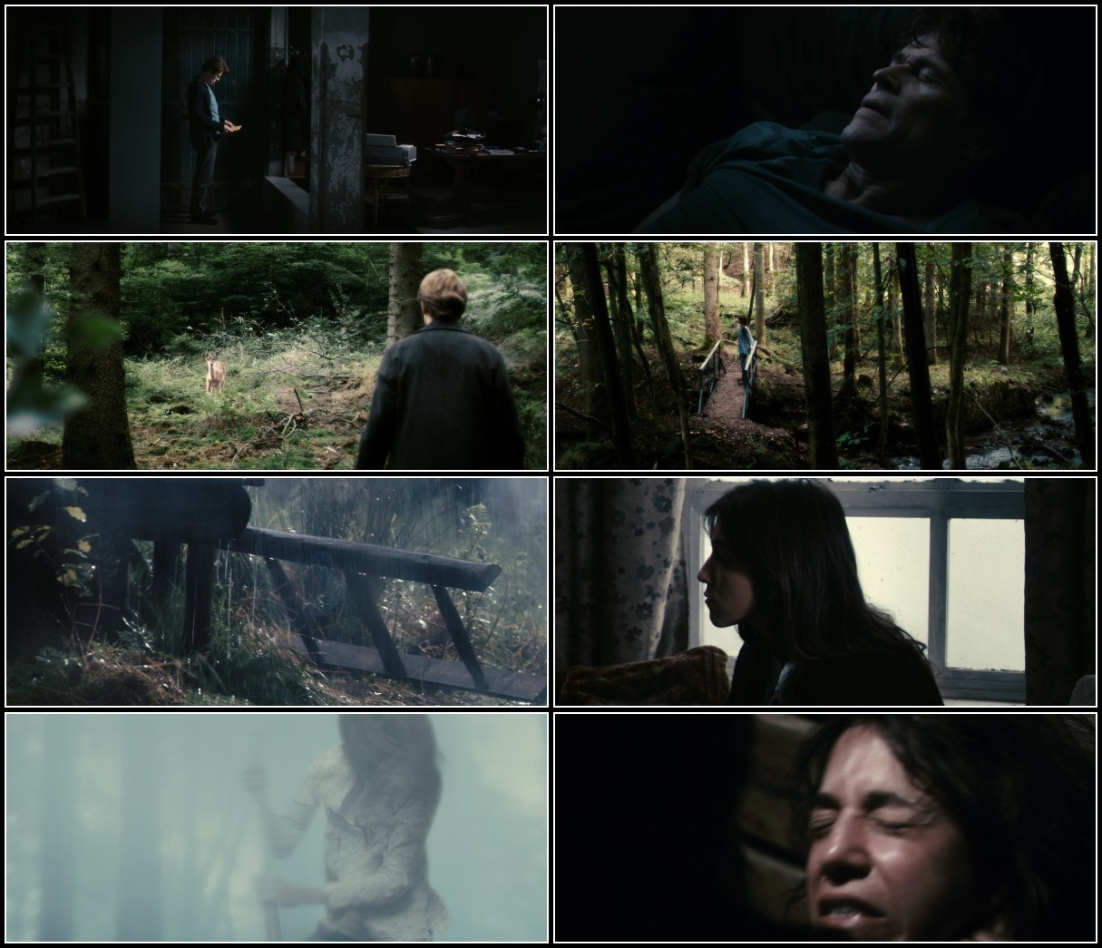 Antichrist (2009) 1080p BluRay x265-RARBG NlQovZ0j_o