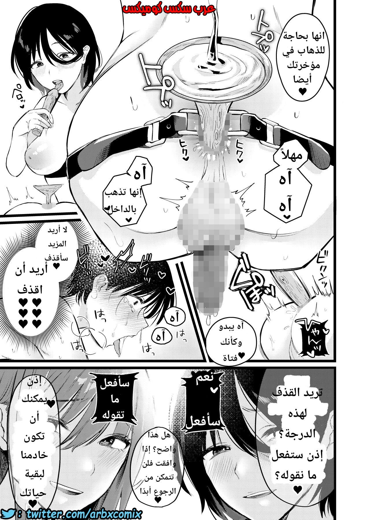 1133 قرية الفيمدوم