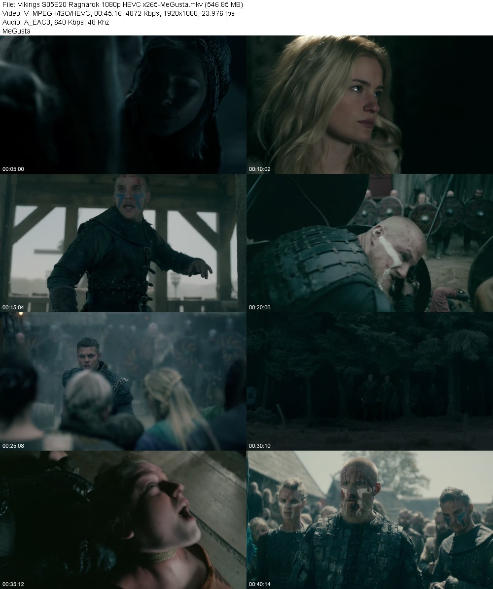 Vikings S05E20 Ragnarok 1080p HEVC x265-MeGusta