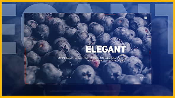 Elegant Flow Slides - VideoHive 19543026