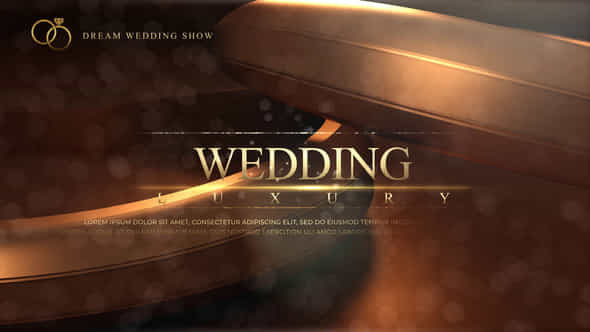 Wedding - VideoHive 49291923