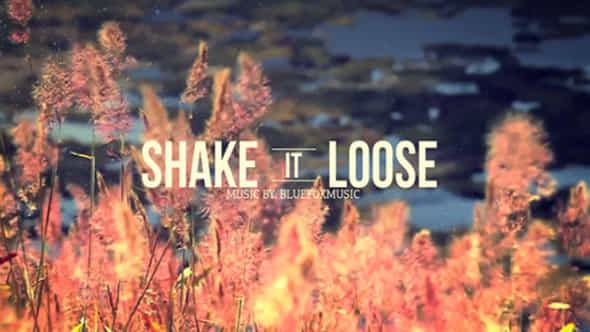 Shake It Loose - VideoHive 7947492