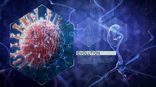 Neuronal Cells - VideoHive 16758085