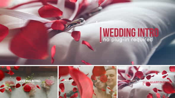 Wedding Intro - VideoHive 14584906