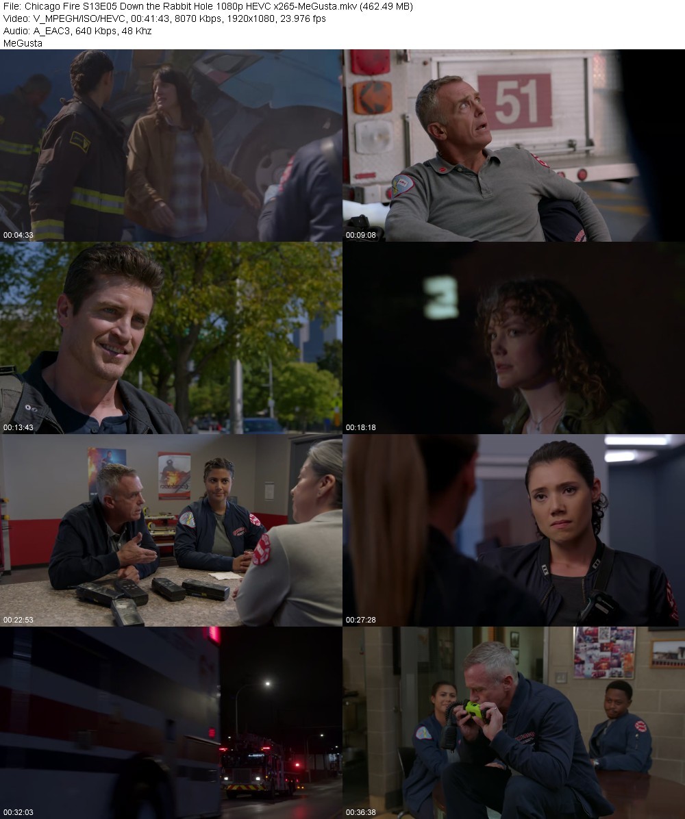 Chicago Fire S13E05 Down the Rabbit Hole 1080p HEVC x265-MeGusta