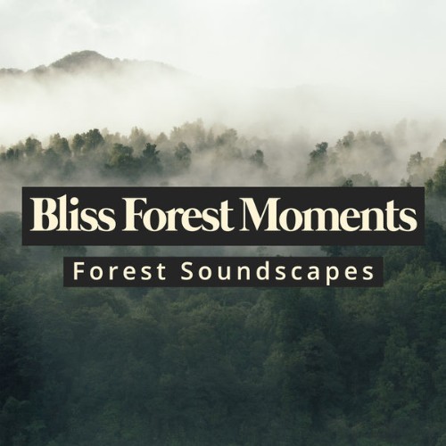 Forest Soundscapes - Bliss Forest Moments - 2019