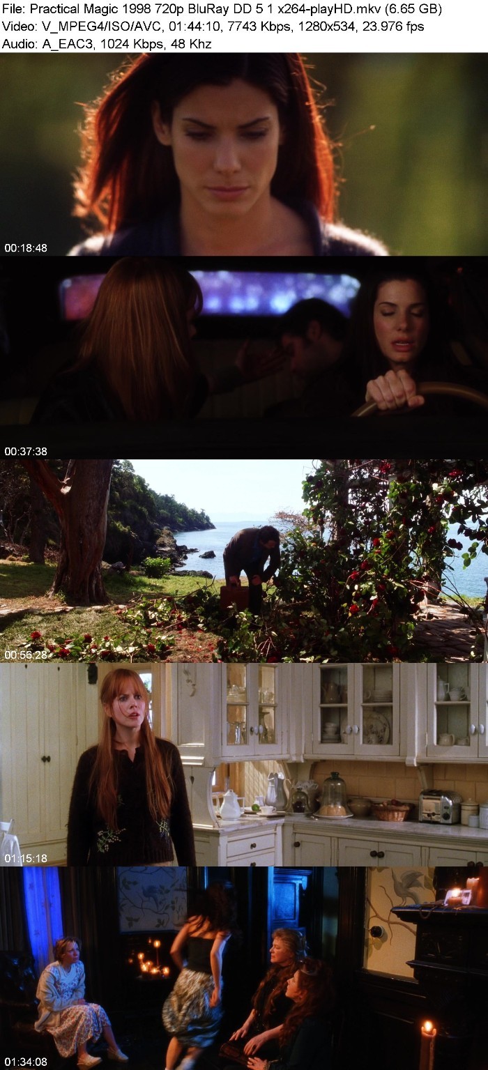 Practical Magic (1998) 720p BluRay DD 5 1 x264-playHD JGO6MlUV_o