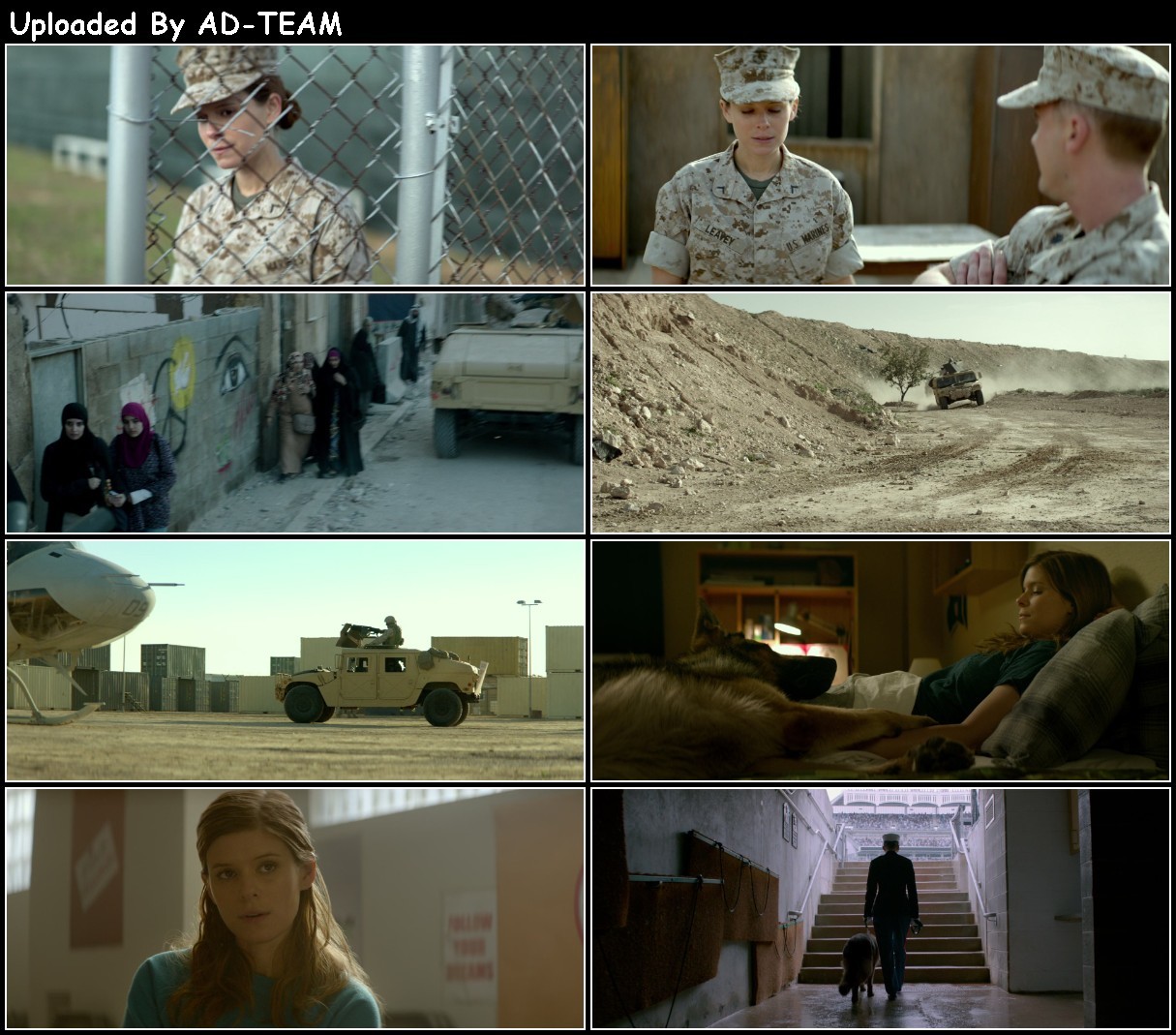 Megan Leavey 2017 1080p BluRay x265-RARBG 9NkUnNFe_o