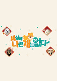세상에 나쁜 개는 없다 시즌4