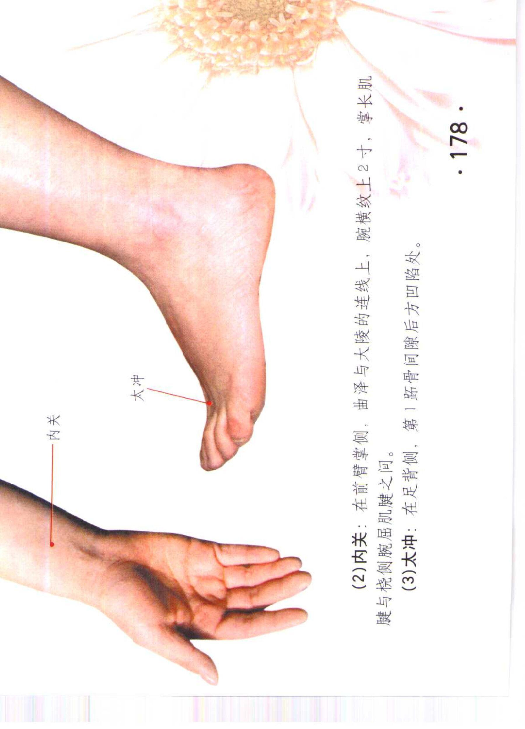 书籍扫描 乳房保健按摩彩色图谱(183)