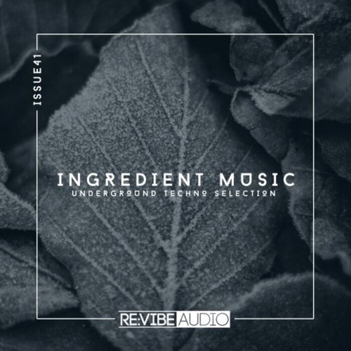 VA - Ingredient Music, Vol. 41 (2021)