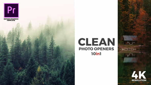 Clean Photo Openers - Logo - VideoHive 22122951